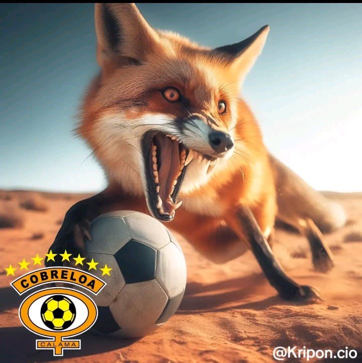 JEKALAMS's tweet photo. Apoyando al Zorro desde #Coquimbo para pasar la pena del domingo anterior… Vamos @Cobreloa_SADP https://t.co/yAz7g61iZ5