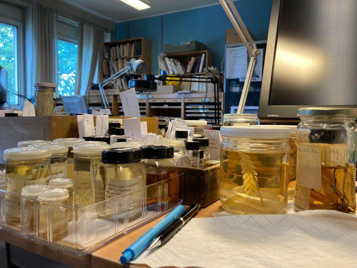 The University of Copenhagen Herbarium (C) houses c. 2.6 million specimens of vascular plants, bryophytes, algae, fungi and lichens from all parts of the world with over 20,000 known type specimens