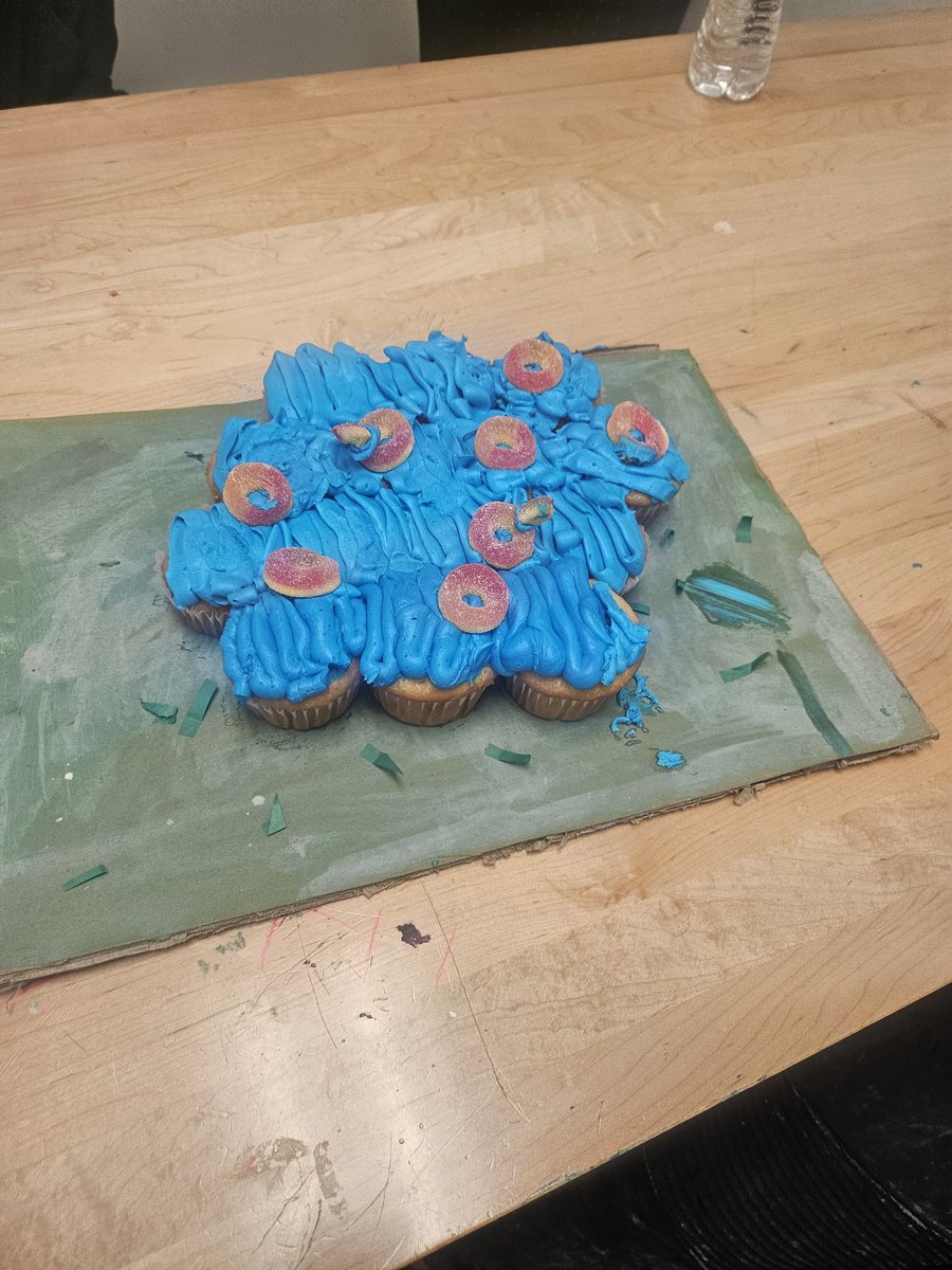 kdbarc's tweet photo. @ReedAcademy1 @SPSCCR @officialSPS  Cupcake wars #4 https://t.co/zfSYCPu1Px