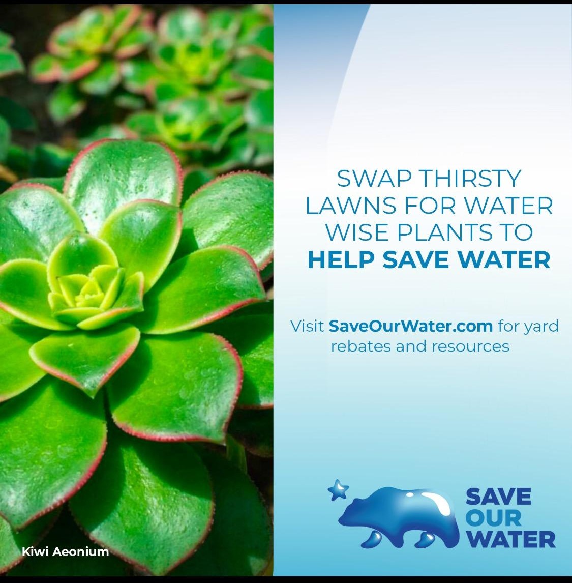 wayresourcectr's tweet photo. Swap Thirsty Lawns For Thirsty Water Wise Plants to Help Save Water  ✅ 

Visit https://t.co/yhmoEjz26T for more information. 💦
🌷🌸 🐝🌳

#heatwave #extremeheatwave
#heatwaveprep #saveourwater #inthehighdesert #conservewater #heatwave #highdesert #Victorville #applevalley https://t.co/qF1ZWmhIUD