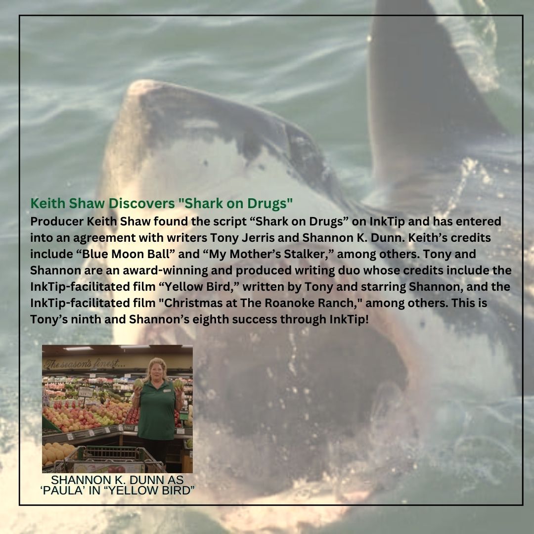 Ambitious TV is shopping another shark movie I wrote with @shannonkdunn