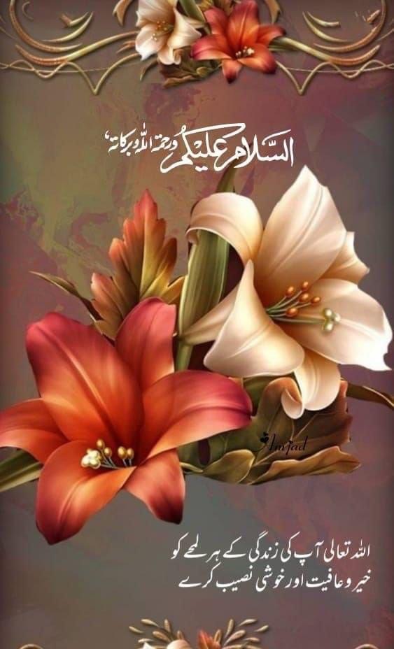 @eshal222 tweet media
