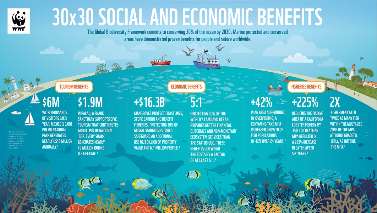 Marine protected and conserved areas can deliver triple bottom line benefits for people, nature & the climate! #30x30 #OurOceanGreece  

@WWFLeadOceans | @WWFGreece | @WWFMed | @Coral_Triangle | @CoralRescue