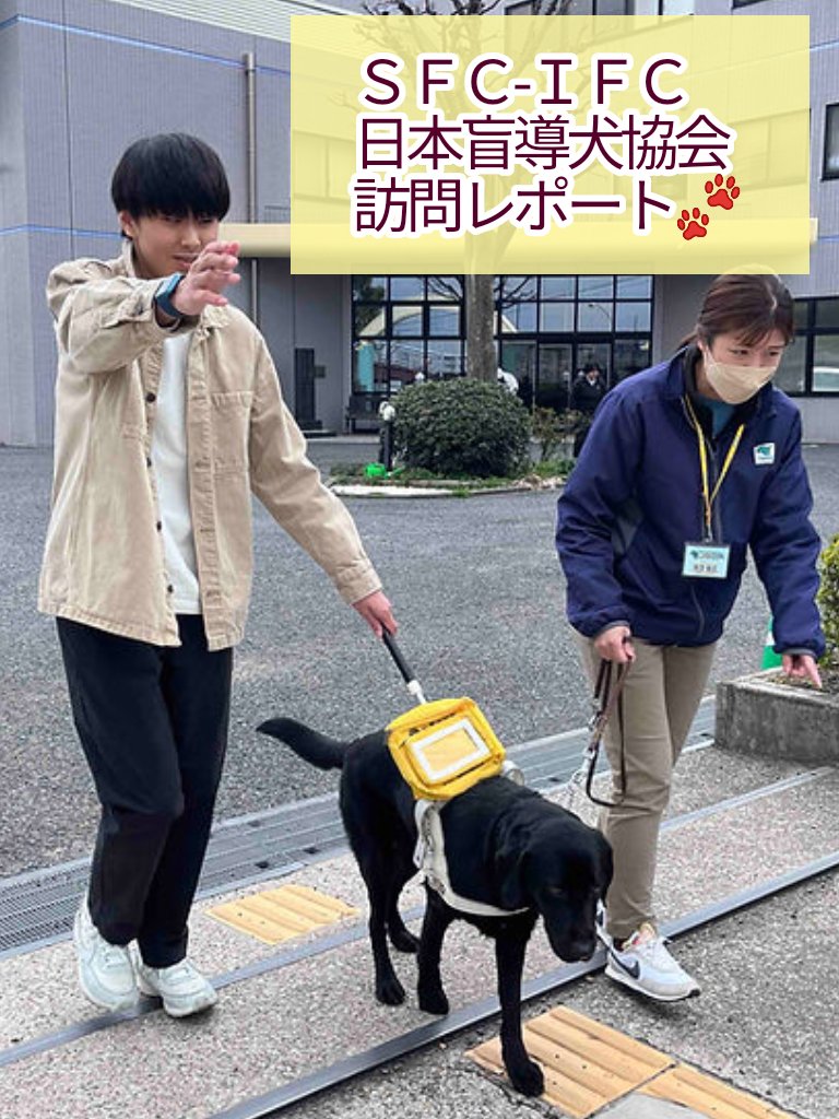 【SFC-IFC 活動情報】

🐾日本盲導犬協会訪問🐾

SFC-IFCメンバー6名が日本盲導犬協会を訪問！
視覚障害当事者の二人が実際に盲導犬を体験してきました🐶

🔗sfcifc.org/news/%E6%97%A5…

🤔💭日本の文化が盲導犬の普及に影響？
体験した感想は？
興味深い記事をお見逃しなく！

#盲導犬 #視覚障害 #障害