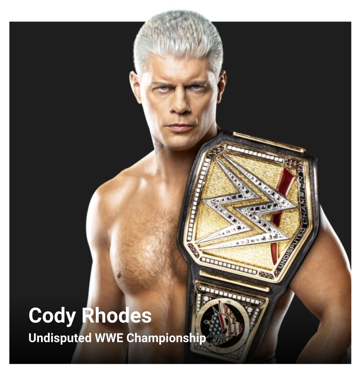 'Undisputed WWE Championship'