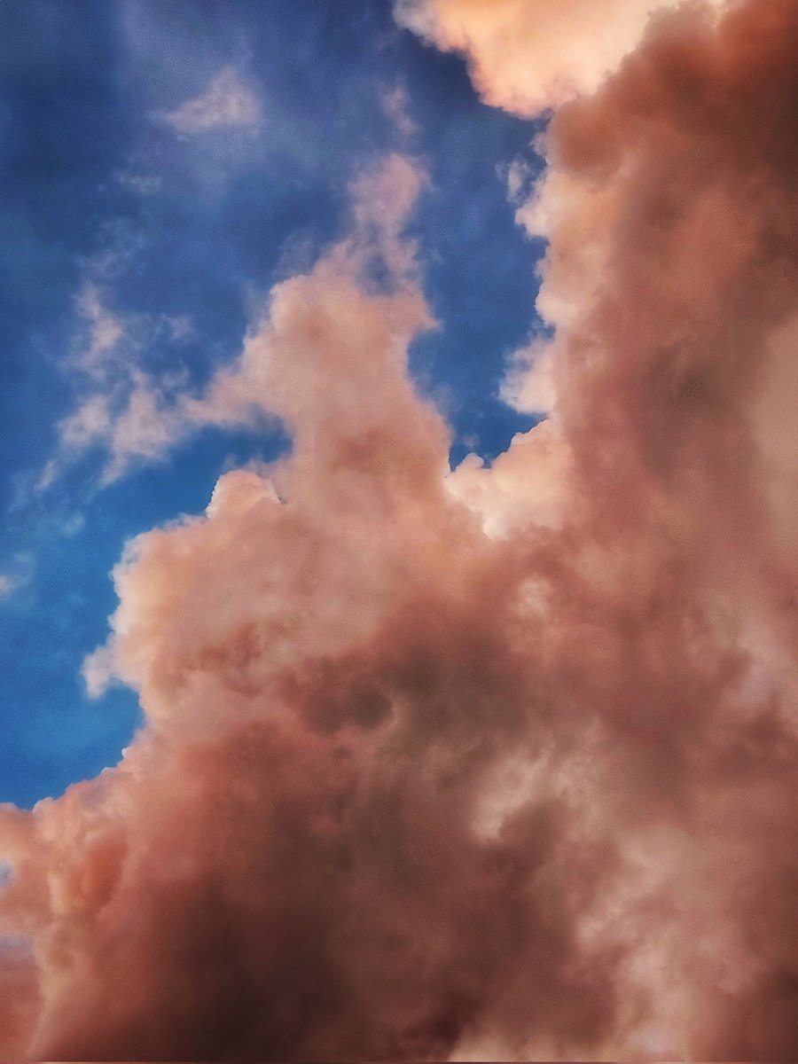 ckckforeskin's tweet photo. そらやすみ

#台湾 #台南 #Taiwan #skyphotography 
©️skinskin https://t.co/QIGaLHvGgb