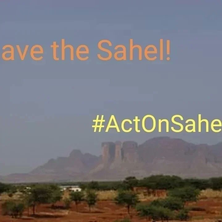 ActOnSahel team advocates 4 Peace in the Sahel with #ClimateAction. Sahel needs more #trees not weapons.Pls redirect the military funds to tackle climate change, poverty, terrorism & conflicts. #ActOnSahel @auggwi @1_billiontrees @UNCCD @IPBES