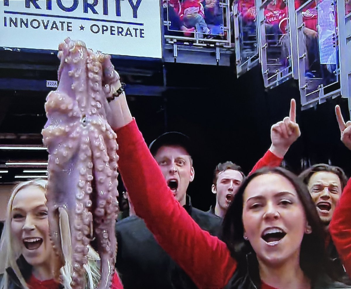 NotLuigi89's tweet photo. @MadisonVan13 I forgot to add the corresponding photo of said octopi pickup. 😅😅 https://t.co/usgkIYGuiV