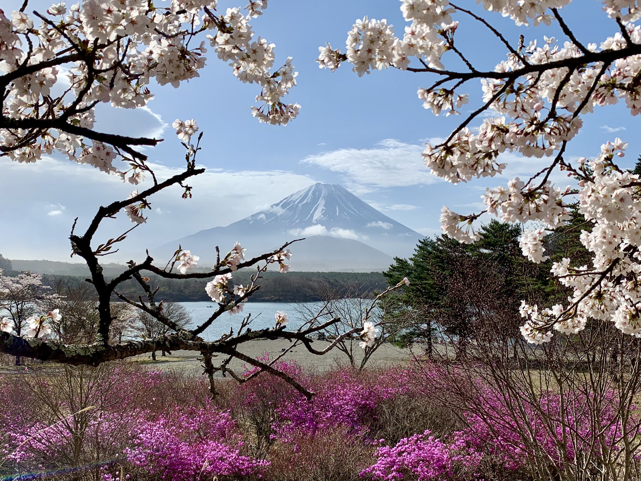 富士河口湖町観光情報【公式】 on X: 富士河口湖町観光情報【公式】 on X: