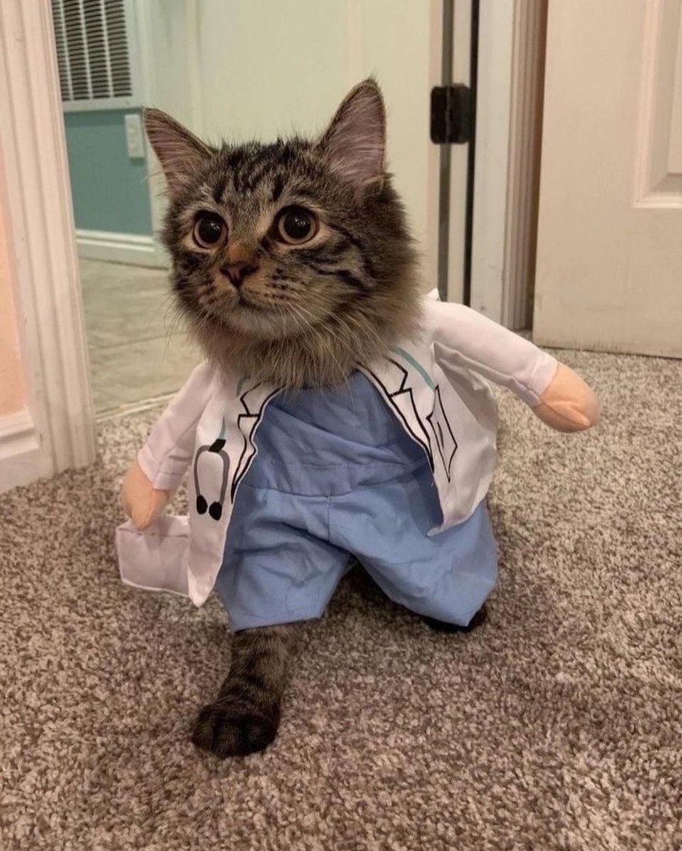 the doctor is in