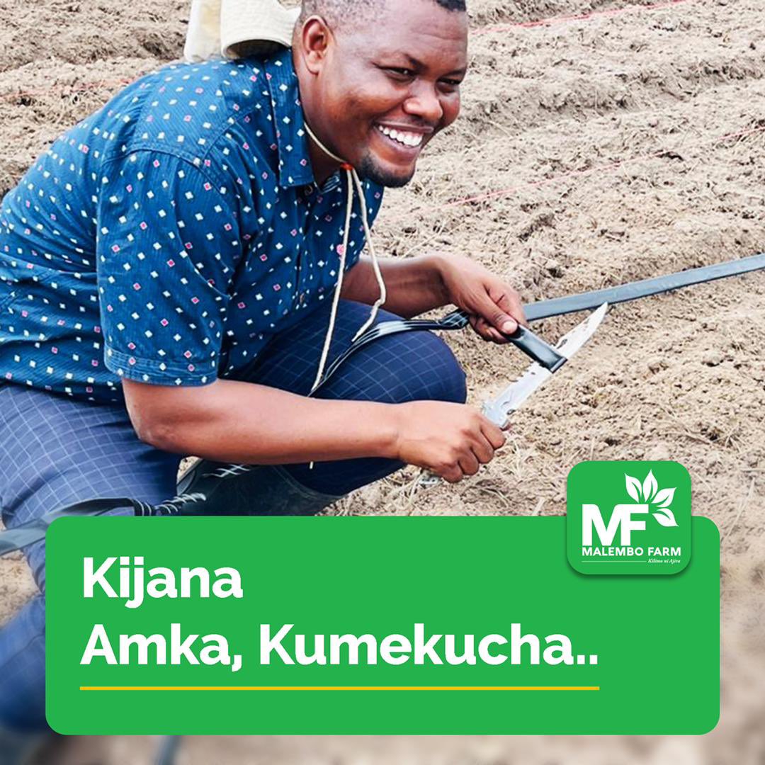 MalemboLE's tweet photo. Yesu alimwambia rafiki yake Lazaro “Amka”
Wito huu wa kuamka si kwa ajili ya wafu tu bali kwetu sisi wote tulioamua kulala kwenye mambo ya maana.
KIJANA AMKA KUMEKUCHA. @AcademyFarms https://t.co/dZ8kgHWhoX