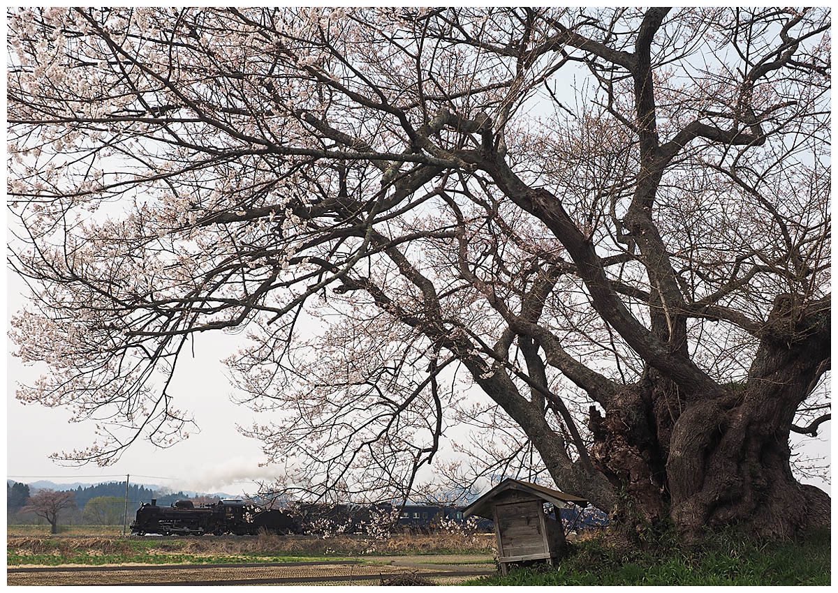 楓ちゃん tweet media