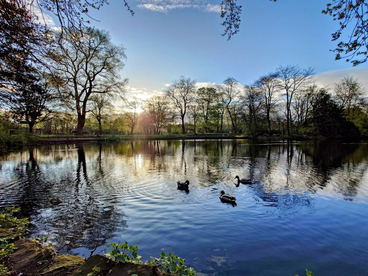MonicaCrimmins's tweet photo. Morning reflections. Alexandra park. Whalley Range. Moss Side @AlexParkMCR @RainorshineManc  #Manchester https://t.co/fPzvpp4gPi