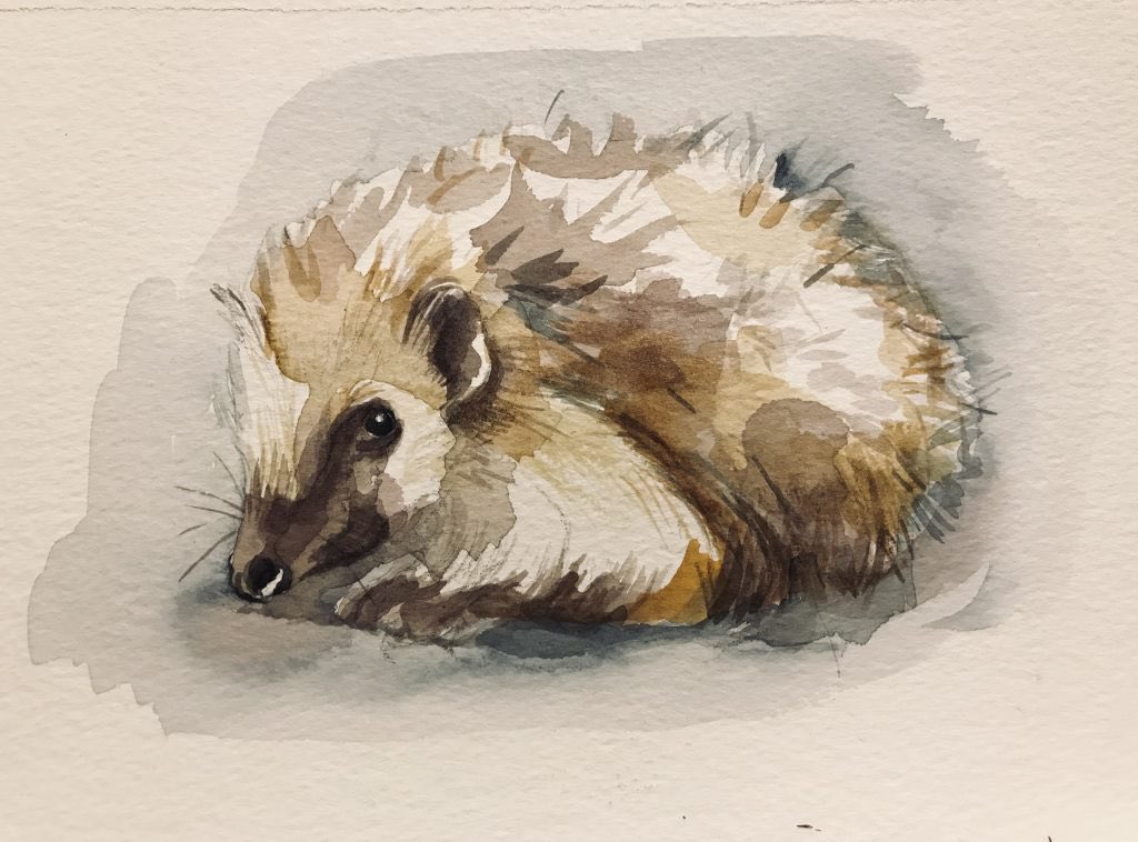 CASW member Nichola Hope is showing work in the Royal Cambrian Academy's exhibition, Chester Cathedral's Chapter House, 23 April to 15 May 2024.  All welcome!