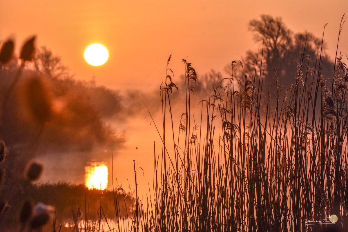 Have a great Tuesday 🌷🌼🌷 Still waiting for one of these misty calm mornings along the river in Ely, Cambridgeshire. #sunrise #TheFens #LovEly #StormHour