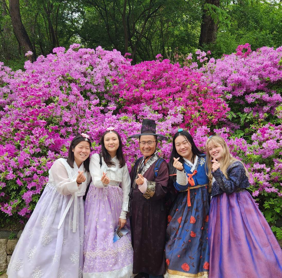 Springtime in Seoul for travellers <a href="/burwoodghs/">Burwood Girls HS</a> How magnificent!