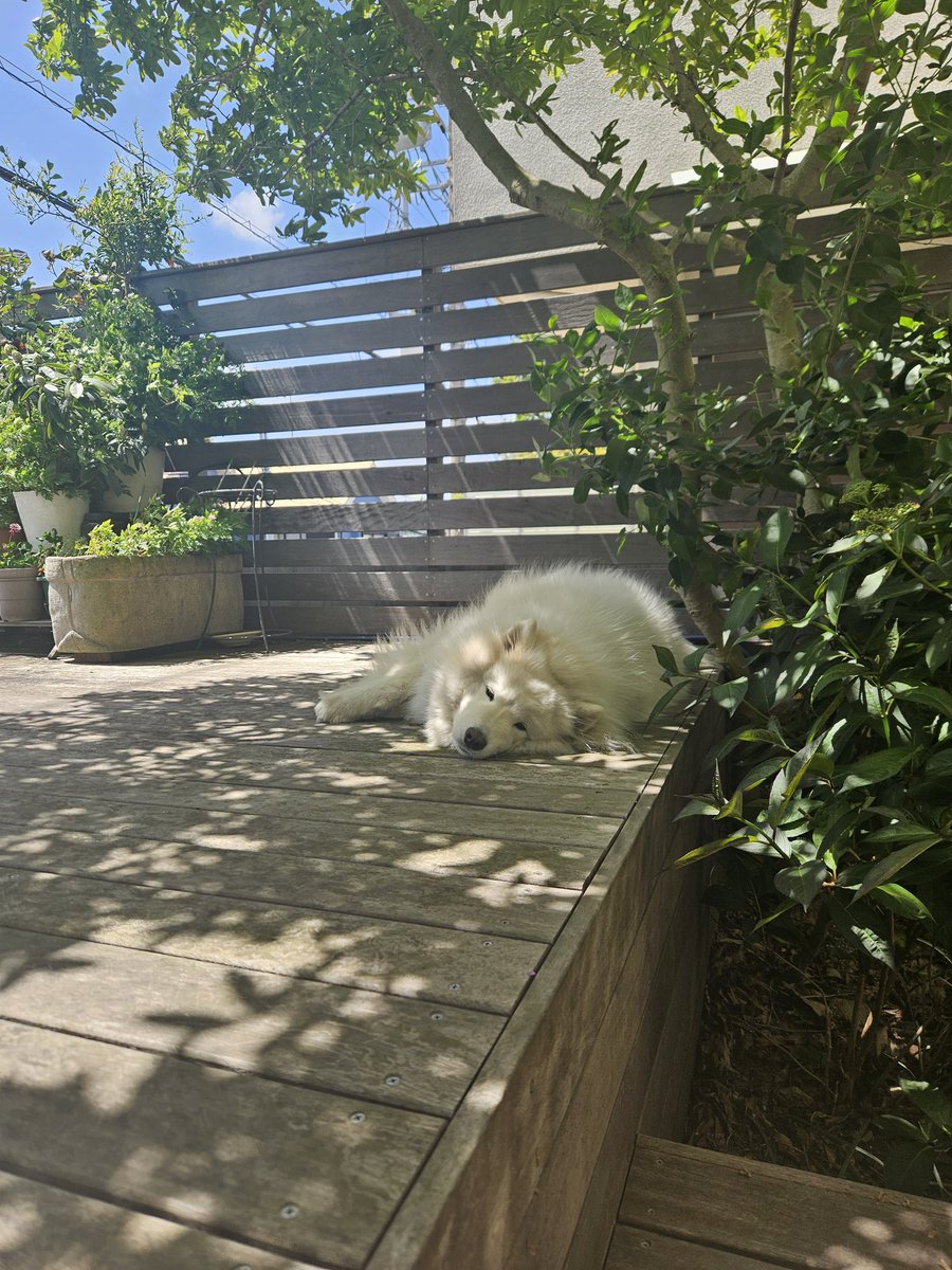 なんて幸せな光景なんでしょ。