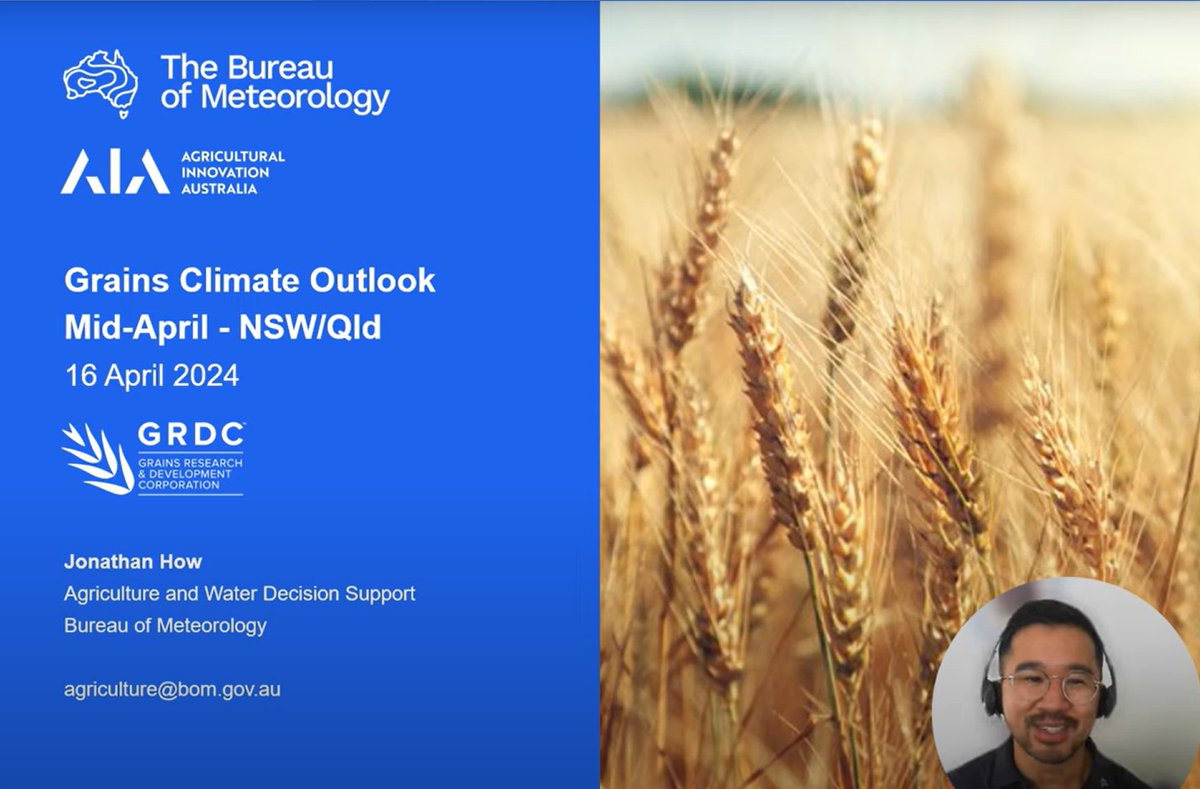 🌾 NORTHERN grain growers: check the climate outlook for your region 👉🏼 youtube.com/watch?v=KPR0Z7… Find more climate outlooks in our #Ag Playlist. @GRDCNorth @theGRDC @AgInnovationAus #AgriClimateOutlooks #agchatoz