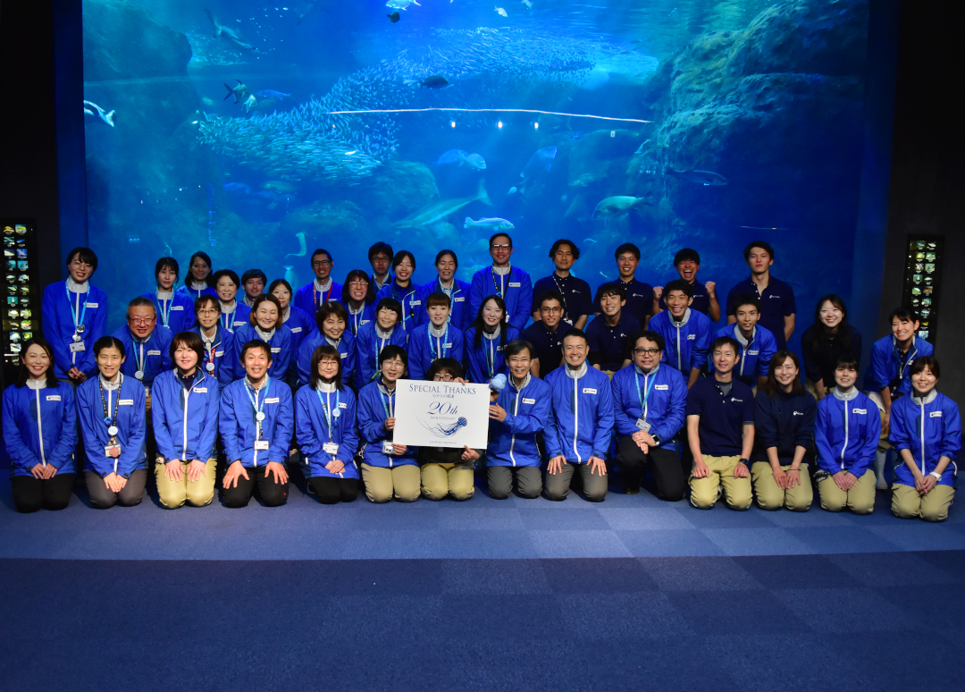 enosui_com's tweet photo. たくさんのお客さまに支えられてえのすいは20周年を迎えました。
20周年を記念したたくさんのイベント、特別展示をご用意しております。ぜひご来場ください。

新江ノ島水族館20周年特別展
🗓️4月16日(火)～
https://t.co/jf3M20oPab https://t.co/7X1bXVOnN9