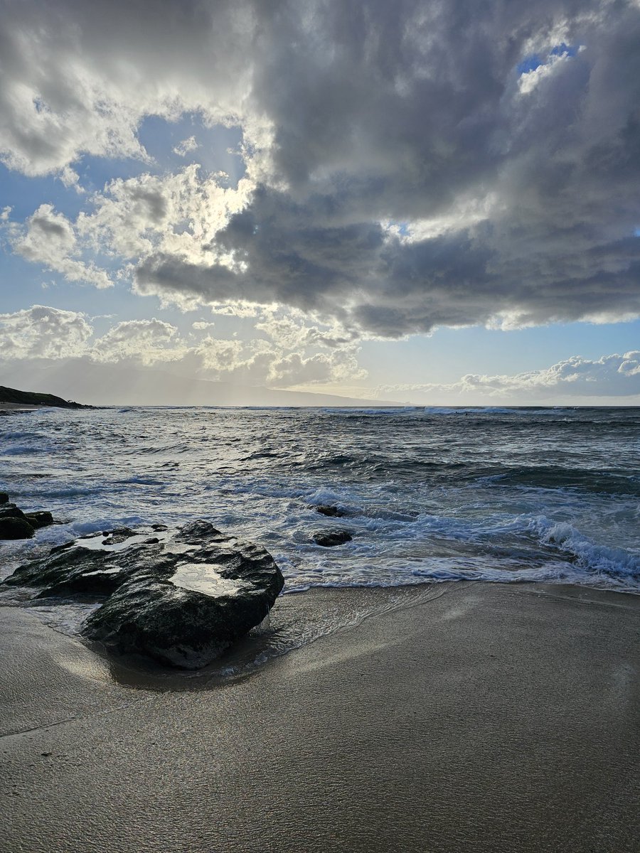 dannydealguru's tweet photo. Maybe I'll take up surfing... 🤔🏄♂️ #maui #hawaii #Hookipabeach https://t.co/WvXFvreKcU