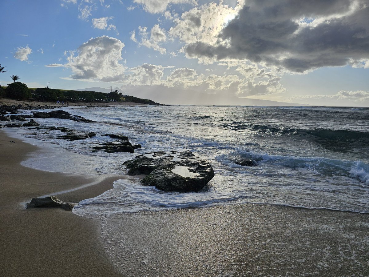 dannydealguru's tweet photo. Maybe I'll take up surfing... 🤔🏄♂️ #maui #hawaii #Hookipabeach https://t.co/WvXFvreKcU