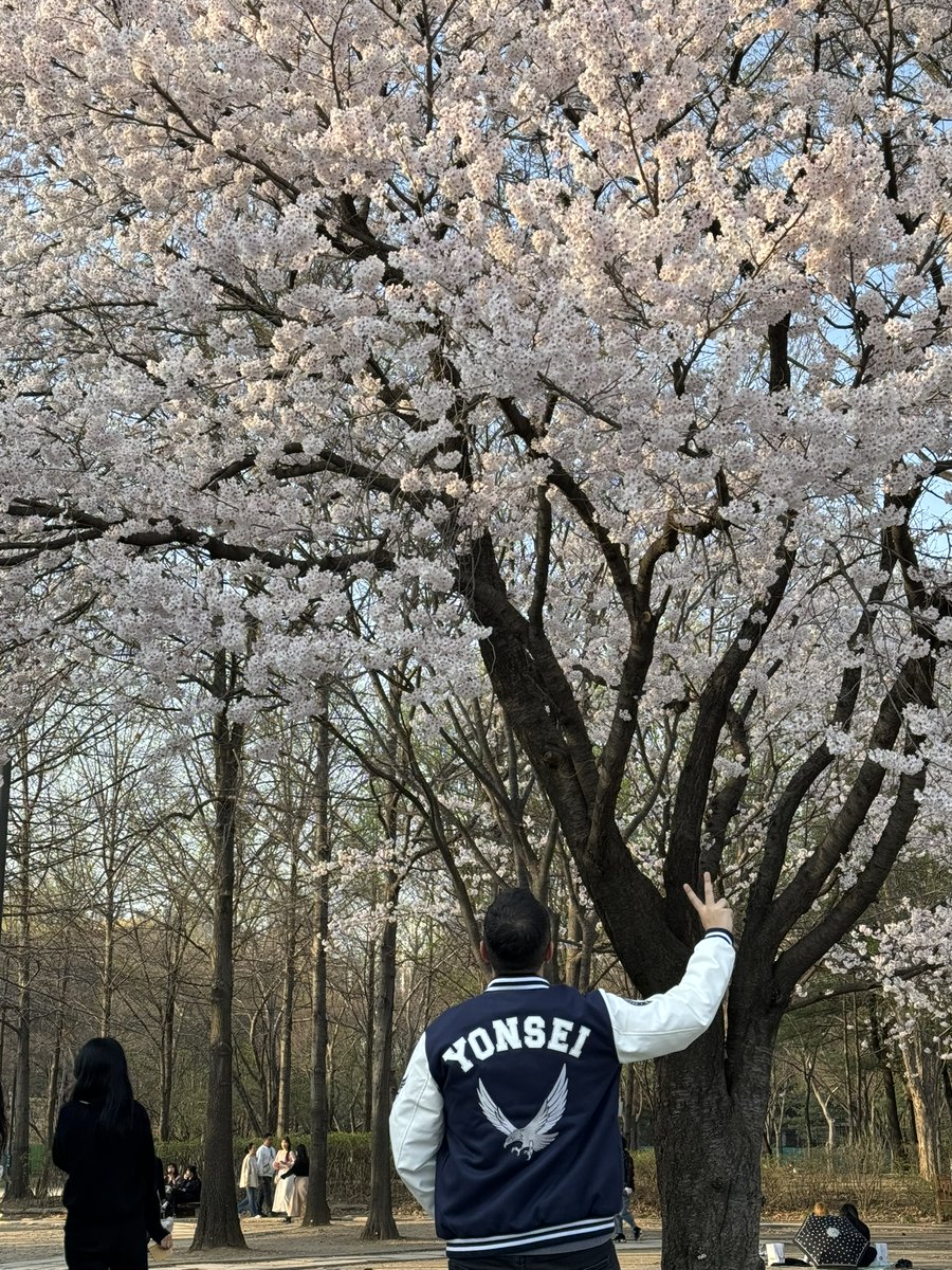 chavesresearch's tweet photo. A month ago, I arrived in Seoul and what an unforgettable journey it's been!🫰

Huge shoutout to the @EvolveMsca project for making this experience possible🎉

Exciting news: New Kafka-ML features will arrive soon in collaboration with Digital Communications Lab at Yonsei Univ. https://t.co/2vl5KvIGvb