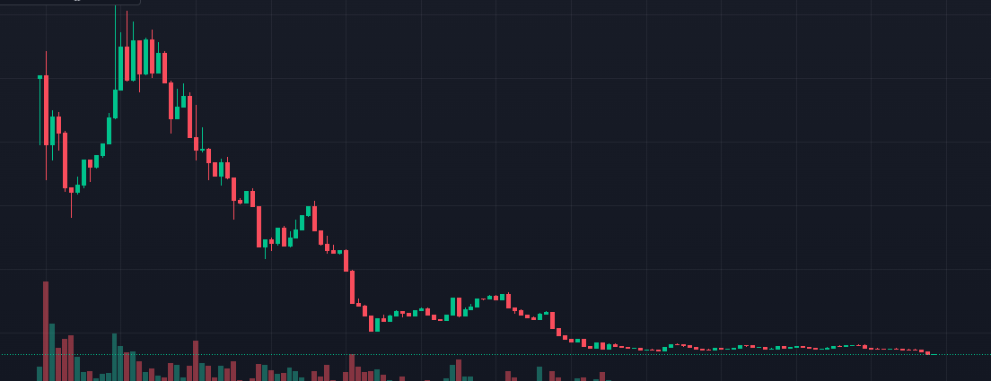 Joshua38549282's tweet photo. @DolsyPolsy @Crypto_JuanPR @BookofSolanasol And it's dead. https://t.co/wxt15Q3TQW
