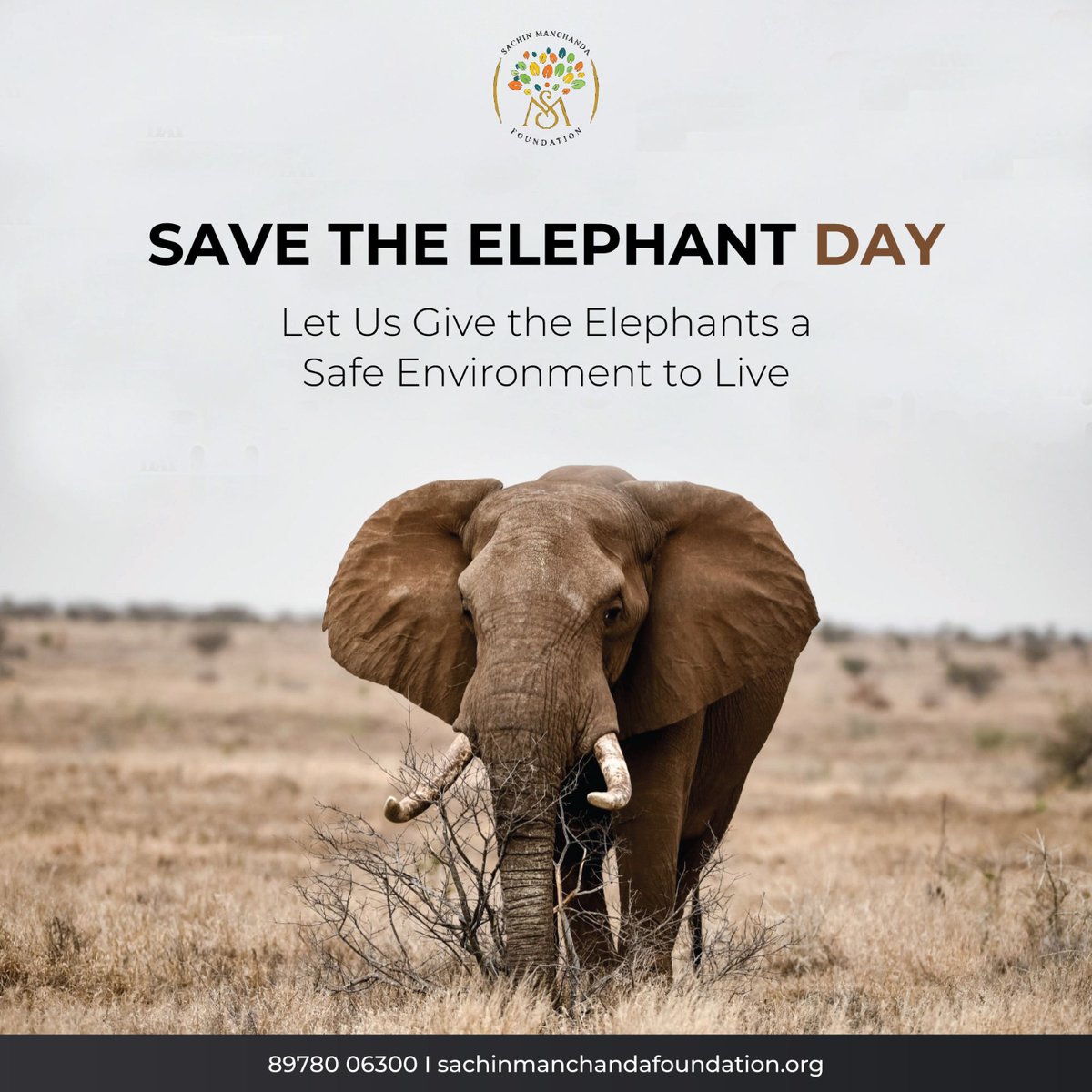 #SavetheElephantDay

Let Us Give The #Elephants A #SafeEnvironment To #Live  @SMF_INDIA

#SachinManchandaFoundation #SachinManchanda #SMFoundation #SMF #ManchandaFoundation

#elephant #cuteanimals #saveanimals #animallove #wildlife #savetheelephants #saveelephant