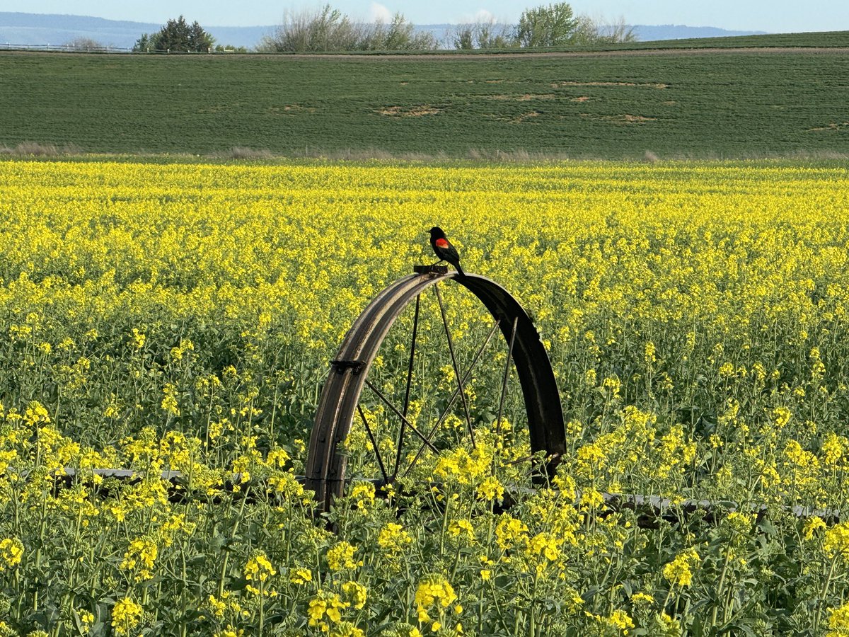 Logan Hoeft tweet media