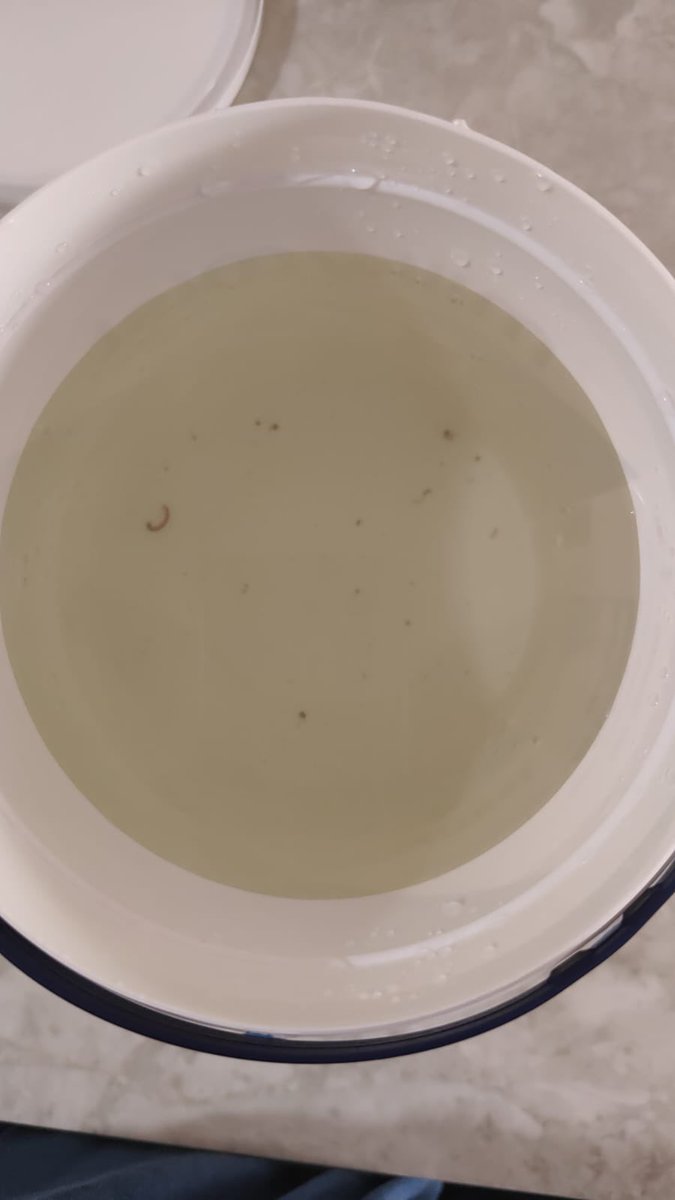 twinmayshaw's tweet photo. @VTP_Realty acclaims to be no 1 in the industry but cannot provide basic necessity of life  &amp; this is the reality of Vtp Realty!!! Bad water!!! No water!!! Worms in water !!!
#vtp #mahalungehightechcity #vtpbluewaters #redworms #badwaterinvtp #punewatersupply #pmc https://t.co/BEy82PEZQ7