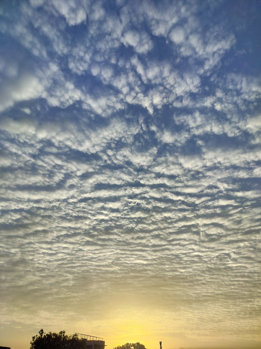 एक उम्मीद जाग उठती है आसमां जब भी देखता है मुझे... ~ बलवान सिंह आज़र #streetphotography #candid #stories 📷 #_सुनीता