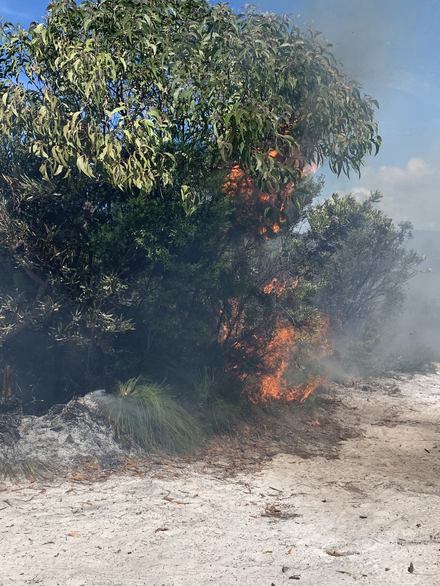 Hey Sunshine Coast! Planned burns are being conducted in the region this week, so you may see some smoke in the area. Rural Fire Service volunteers are assisting our partners at Queensland National Parks with the burns at Noosa National Park, Noosa Northshore and Mount Ninderry…