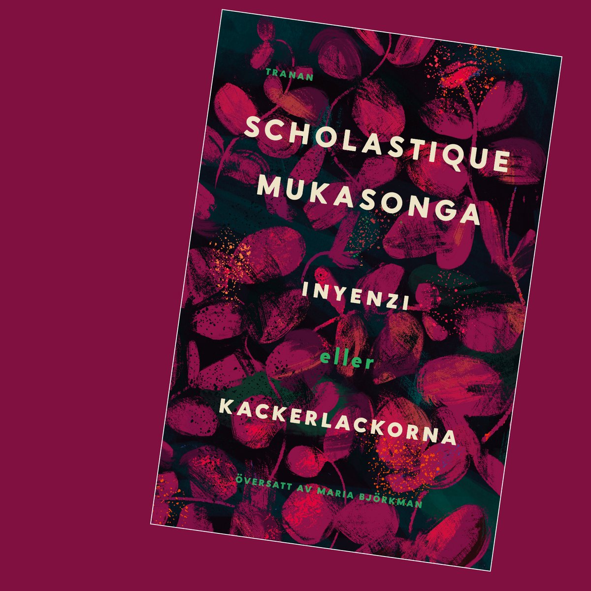 Roslagens bokhandel vid Lilla torget i Norrtälje: Inyenzi eller kackerlackorna. Scholastique Mukasonga bokbloggerskan.blogspot.com/2024/04/inyenz…