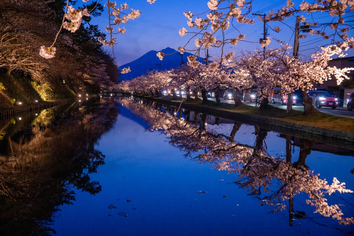 HIROSAKIPARK_JP's tweet photo. 【弘前公園夜間ライトアップ✨】
弘前さくらまつり期間中、夜間ライトアップを日没～22時まで実施中です。夜の幻想的なライトアップとともに、日中とはまた違った魅力をお楽しみください。

🌸夜桜の様子（2024年4月15日撮影）
https://t.co/u2Rokqbn39

#弘前公園 #桜 #弘前さくらまつり https://t.co/nnDVg0mt9L