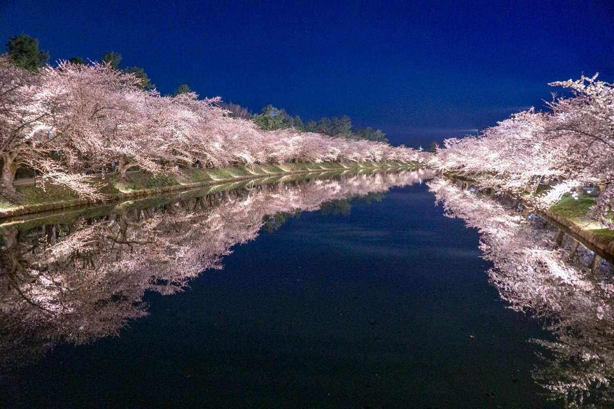 HIROSAKIPARK_JP's tweet photo. 【弘前公園夜間ライトアップ✨】
弘前さくらまつり期間中、夜間ライトアップを日没～22時まで実施中です。夜の幻想的なライトアップとともに、日中とはまた違った魅力をお楽しみください。

🌸夜桜の様子（2024年4月15日撮影）
https://t.co/u2Rokqbn39

#弘前公園 #桜 #弘前さくらまつり https://t.co/nnDVg0mt9L