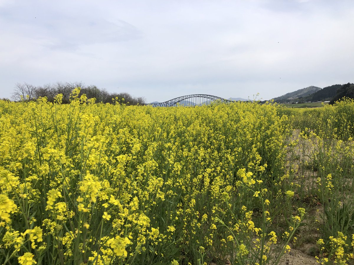 marumio52's tweet photo. 丸森にこんな所があったんだね。 https://t.co/u4TDQn4Oqj