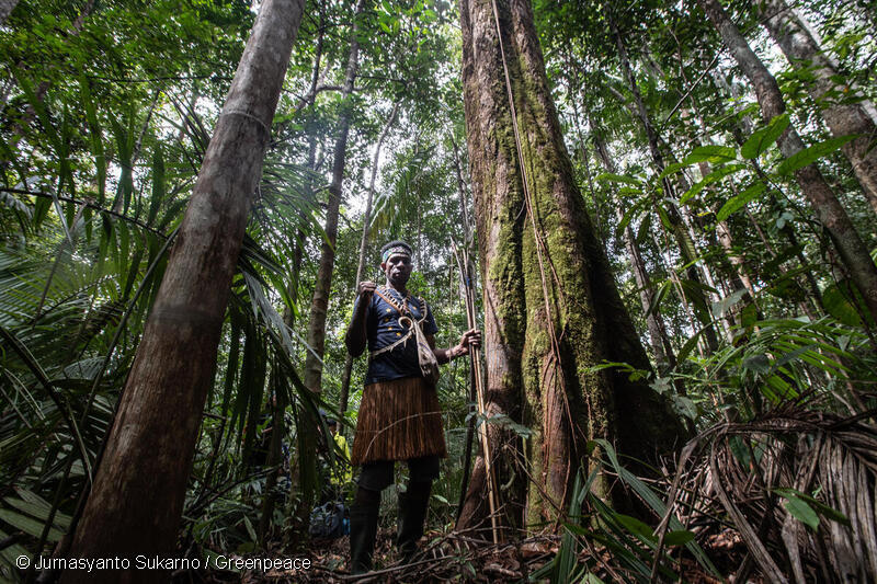 GreenpeaceID's tweet photo. Jalan Berliku Suku Awyu Mempertahankan Hutan Adat: Kalah di PTUN Jayapura, Banding Ditolak PTTUN Manado.

Kapan Hukum Berpihak kepada Masyarakat Adat?

[sebuah utas] https://t.co/ScpjCBz64l