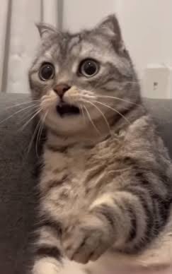 自分以外誰も推奨技能を持ってこなかった