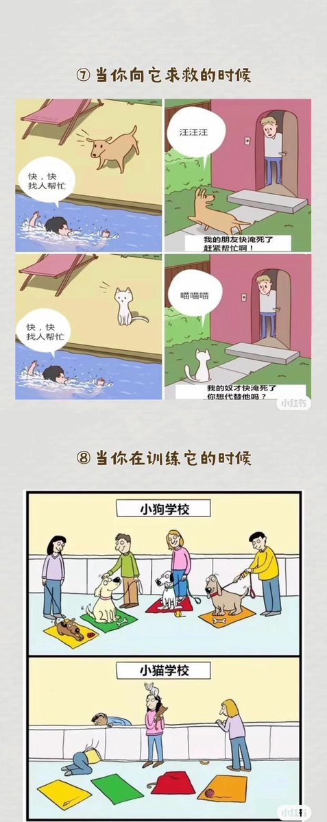 养狗🆚养猫的区别，简直太真实了