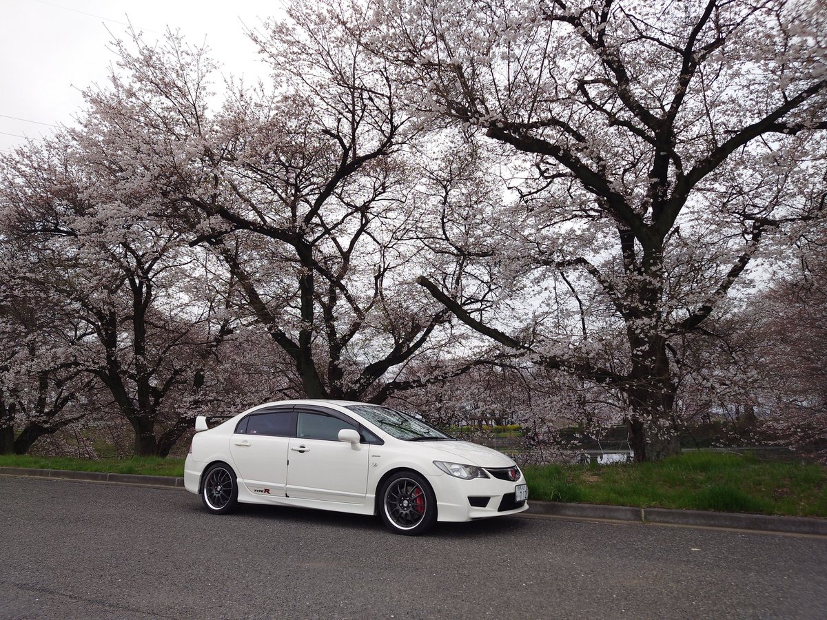 #愛車と桜のコラボ写真を載せて5RTを目指せ