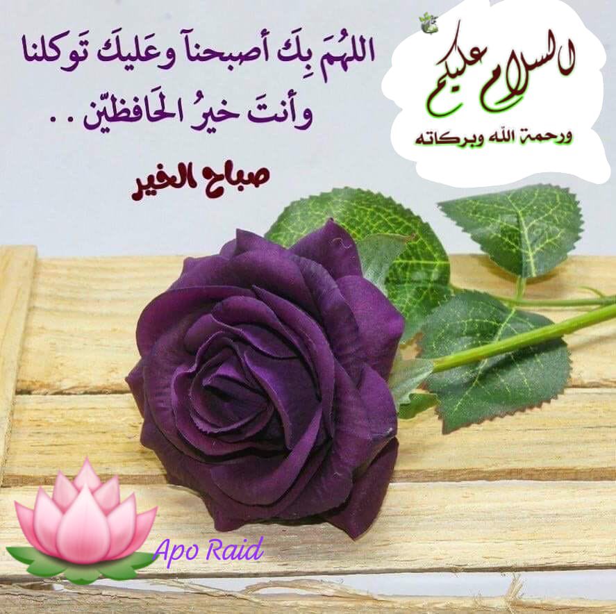 اليتيمه tweet media