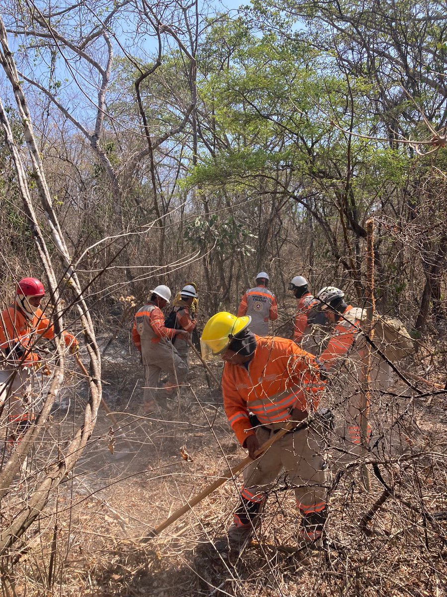 Liquidan #IncendioForestal en #NuevoZinacantán municipio de #ChiapaDeCorzo, #Chiapas. Combatientes de @pcivilchiapas @CONAFOR y @SEDENAmx realizaron trabajos de brechas corta fuegos, zanjas trincheras y descargas de agua vía aérea durante tres días
