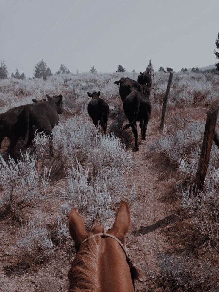 𝙏𝙝𝙚 𝙩𝙝𝙞𝙣𝙜𝙨 𝙝𝙚 𝙬𝙤𝙪𝙡𝙙 𝙙𝙤 𝙩𝙤 𝙜𝙤 𝙗𝙖𝙘𝙠 𝙩𝙤 𝙬𝙤𝙧𝙠𝙞𝙣𝙜 𝙤𝙣 𝙩𝙝𝙚 𝙛𝙖𝙧𝙢

𝙃𝙚’𝙙 𝙚𝙫𝙚𝙣 𝙢𝙖𝙠𝙚 𝙖 𝙙𝙚𝙖𝙡 𝙬𝙞𝙩𝙝 𝙖 𝙙𝙚𝙫𝙞𝙡… 𝙤𝙝 𝙬𝙖𝙞𝙩