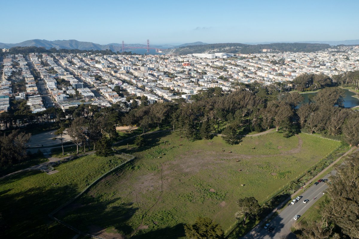 RecParkSF tweet picture