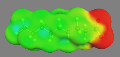はらぺこあおむし（うそ）