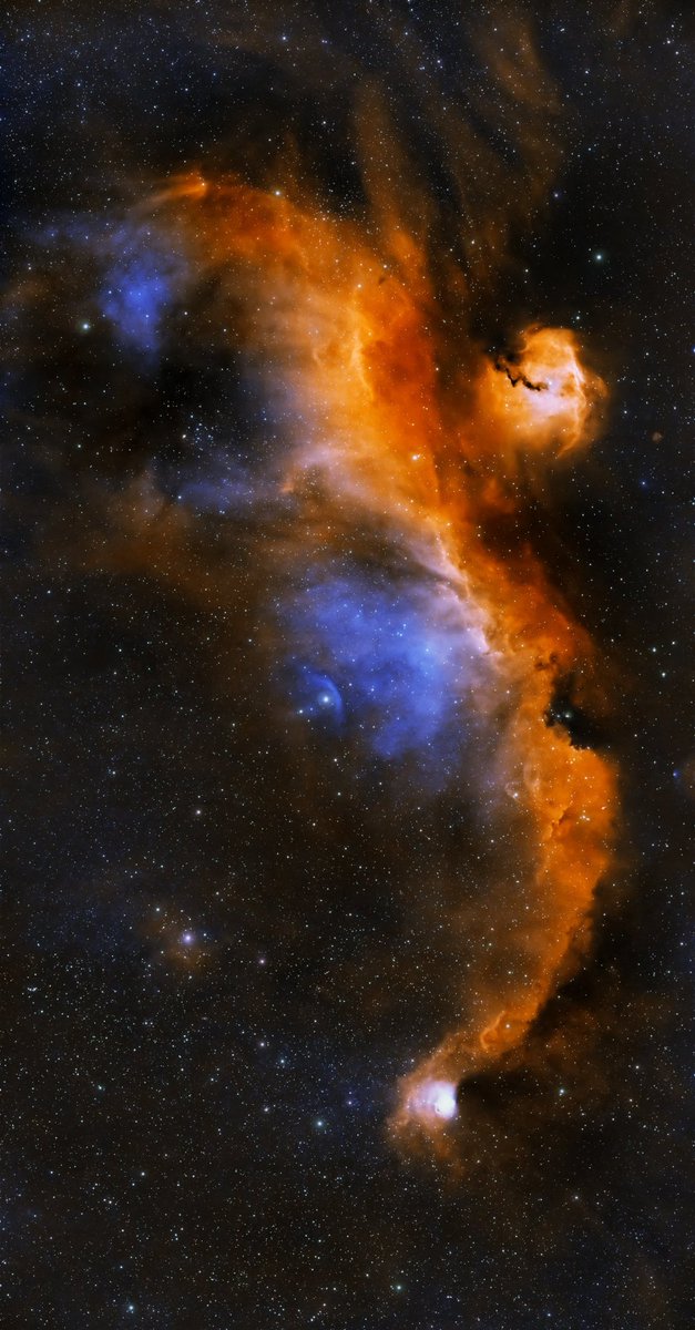 IC 2177: Seagull Nebula © CityspaceAstro tmblr.co/ZHSGxTf6oPjeKi…