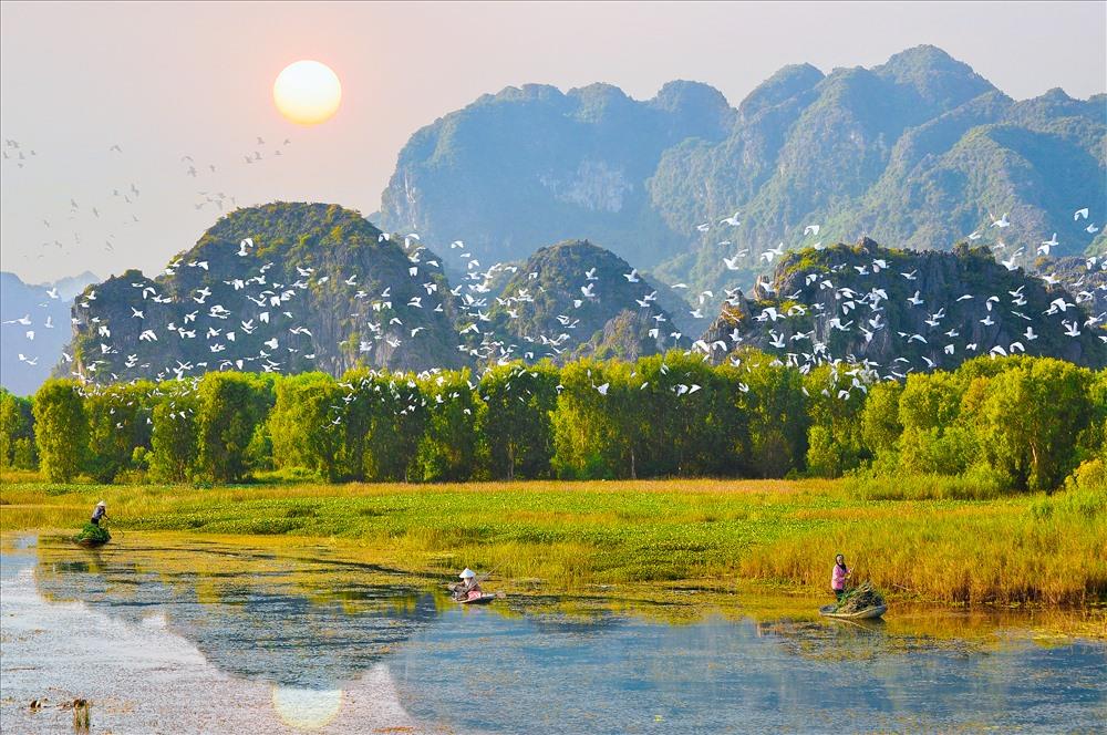 halong_vietnam_'s tweet image. Thung Nham Bird Garden is a serene and peaceful place in Ninh Binh, Vietnam, and a perfect spot for bird watching.
Website: travelauthenticasia.com
halongvietnamtours.com
#travelauthenticasia #southeastasiatrip #beautifuldestinations #ninhbinh #watchingbird