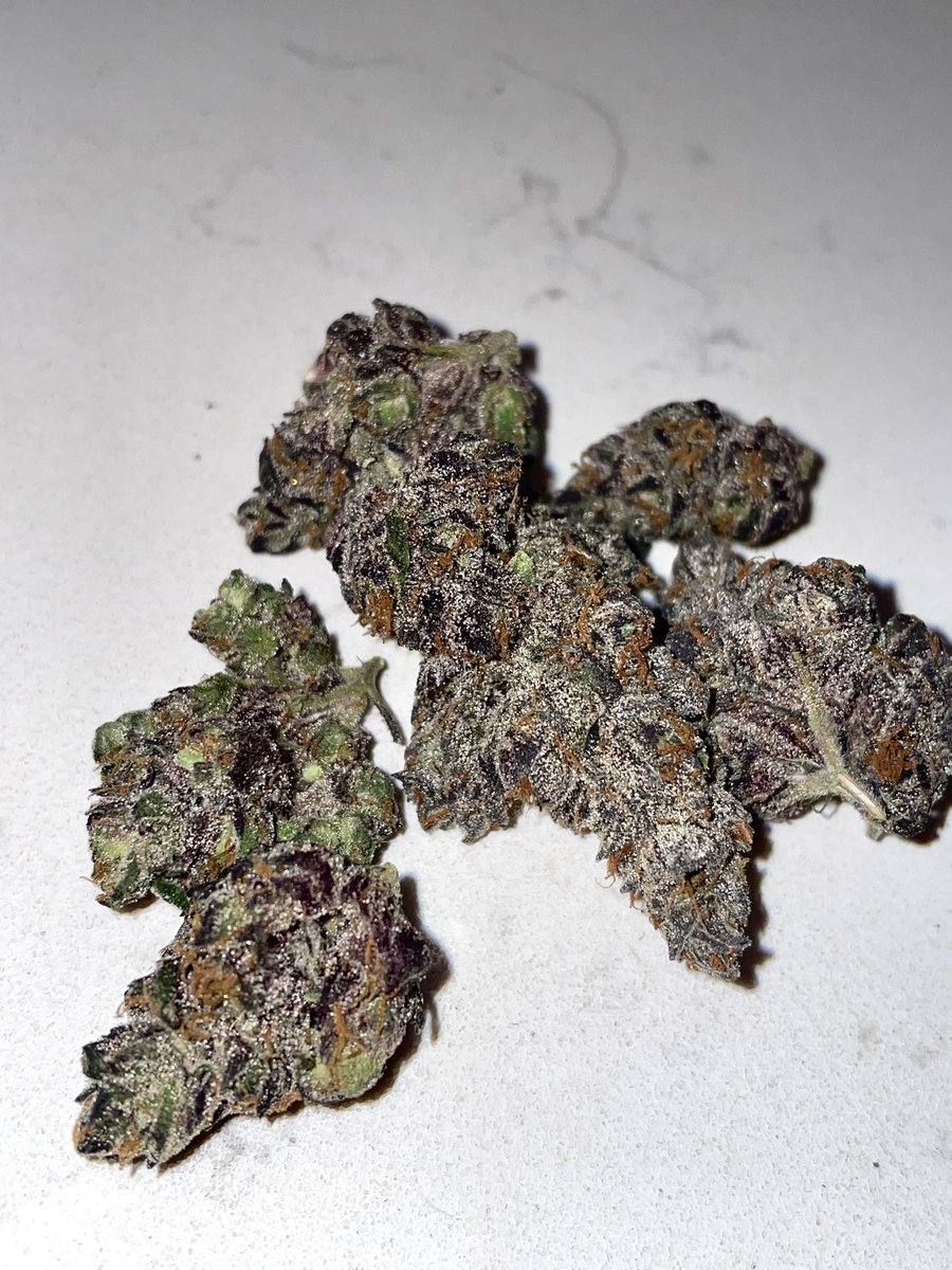 terphuntersla's tweet image. rd1 (Ridallar x Riddler) Cultivated by #grandifloragenetics x #gulfcoastla sample tester 🔥🔥