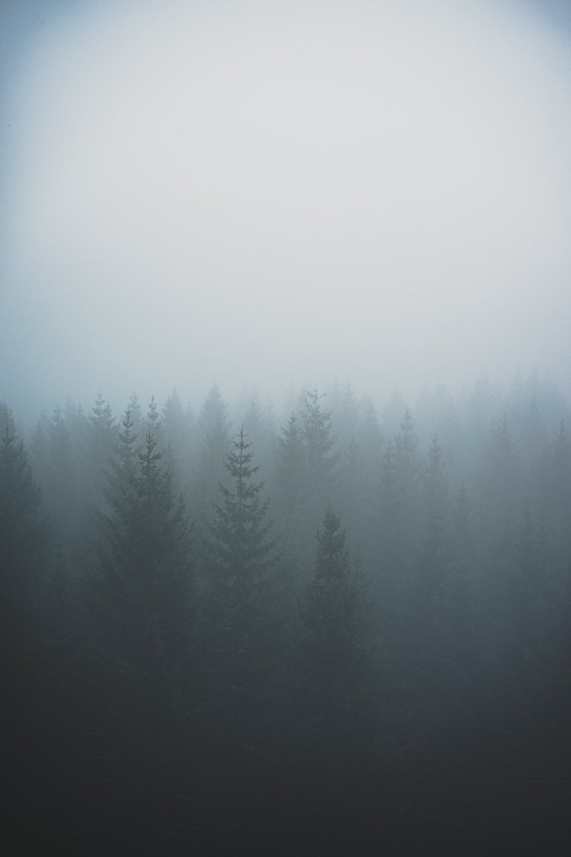 Feel free to drop your foggy photos in the comments!