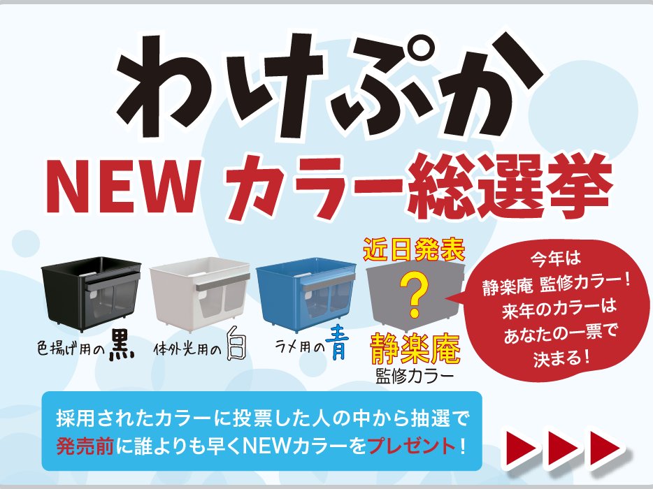Crimson_meteor_'s tweet photo. わけぷか
NEWカラー総選挙
実施中です!
是非ご参加ください
https://t.co/LSvSs71Q30
#メダカ
#めだか
#わけぷか
#ミプラス
#miplus https://t.co/2x9yguWkyz